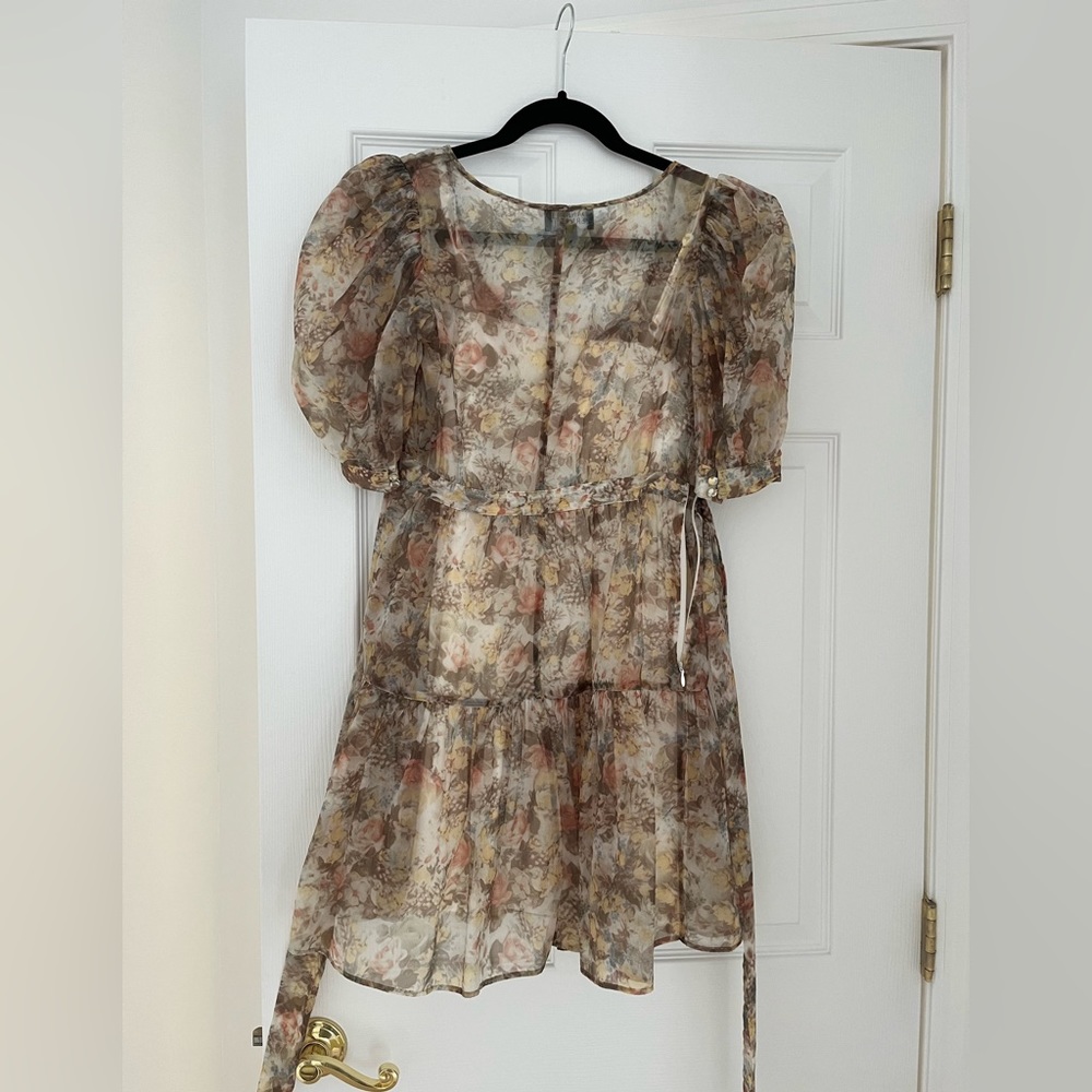 Danielle Bernstein(we wore what) sheer dress